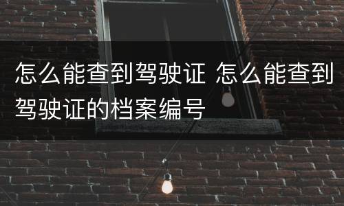 怎么能查到驾驶证 怎么能查到驾驶证的档案编号