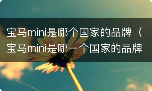 宝马mini是哪个国家的品牌（宝马mini是哪一个国家的品牌）