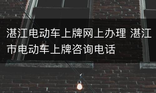 湛江电动车上牌网上办理 湛江市电动车上牌咨询电话