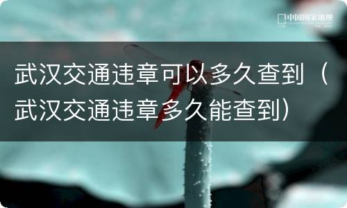 武汉交通违章可以多久查到（武汉交通违章多久能查到）