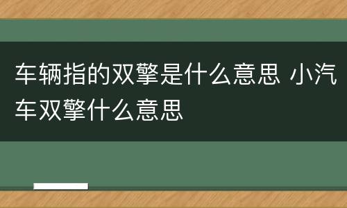 车辆指的双擎是什么意思 小汽车双擎什么意思