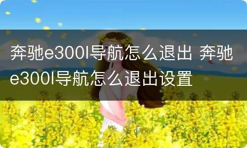 奔驰e300l导航怎么退出 奔驰e300l导航怎么退出设置