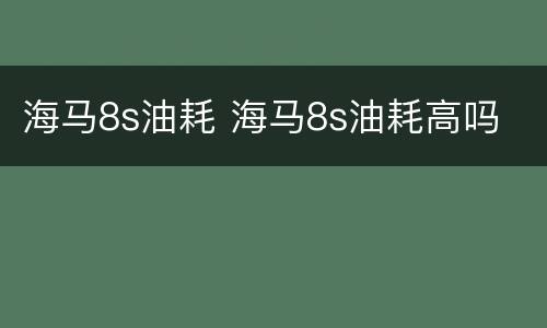 海马8s油耗 海马8s油耗高吗