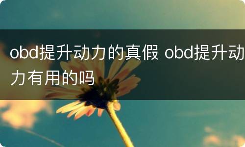 obd提升动力的真假 obd提升动力有用的吗