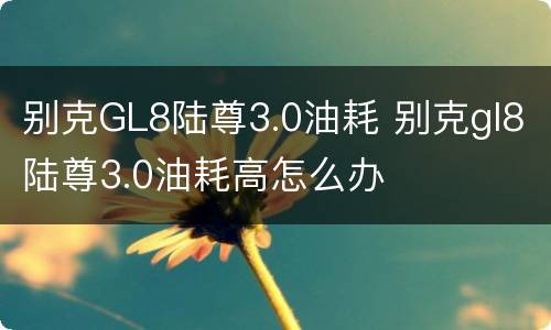 别克GL8陆尊3.0油耗 别克gl8陆尊3.0油耗高怎么办