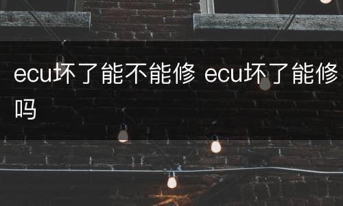 ecu坏了能不能修 ecu坏了能修吗