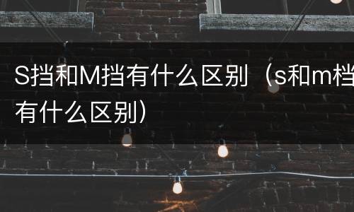 S挡和M挡有什么区别（s和m档有什么区别）