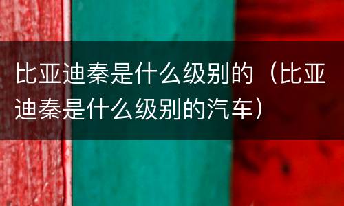 比亚迪秦是什么级别的（比亚迪秦是什么级别的汽车）