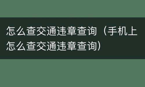 怎么查交通违章查询（手机上怎么查交通违章查询）