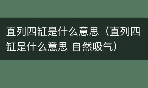 直列四缸是什么意思（直列四缸是什么意思 自然吸气）