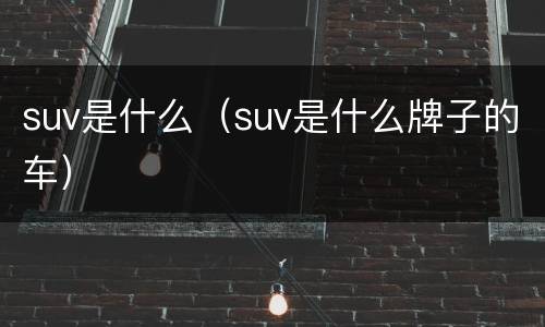 suv是什么（suv是什么牌子的车）