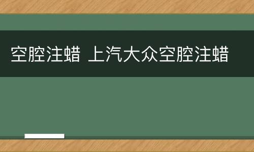 空腔注蜡 上汽大众空腔注蜡