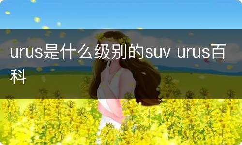 urus是什么级别的suv urus百科