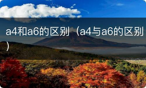 a4和a6的区别（a4与a6的区别）