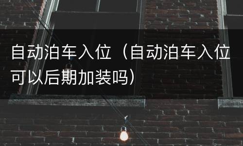 自动泊车入位（自动泊车入位可以后期加装吗）