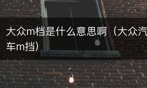 大众m档是什么意思啊（大众汽车m挡）