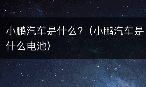 小鹏汽车是什么?（小鹏汽车是什么电池）