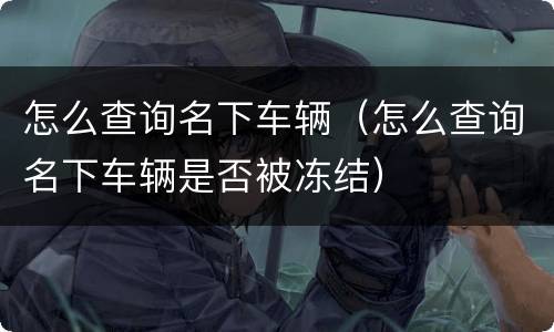 怎么查询名下车辆（怎么查询名下车辆是否被冻结）