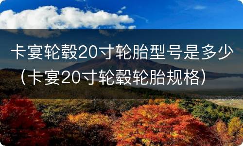 卡宴轮毂20寸轮胎型号是多少（卡宴20寸轮毂轮胎规格）