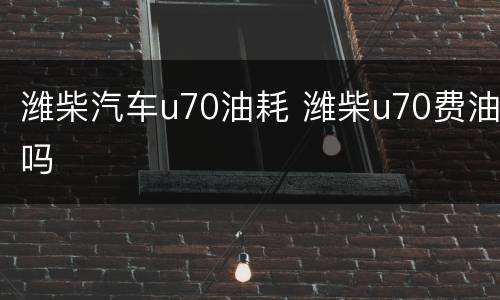 潍柴汽车u70油耗 潍柴u70费油吗