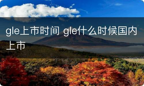 gle上市时间 gle什么时候国内上市