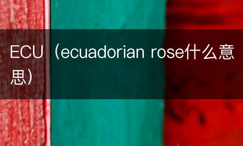 ECU（ecuadorian rose什么意思）