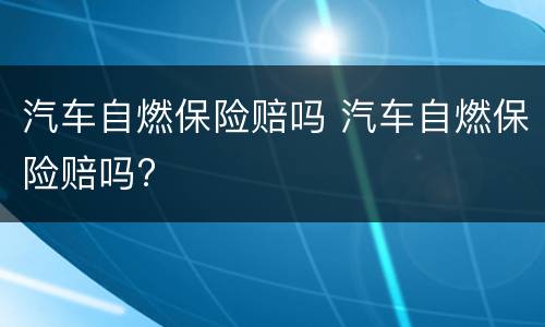 汽车自燃保险赔吗 汽车自燃保险赔吗?