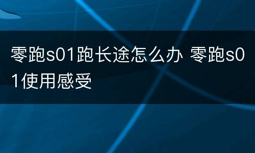 零跑s01跑长途怎么办 零跑s01使用感受