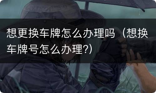 想更换车牌怎么办理吗（想换车牌号怎么办理?）