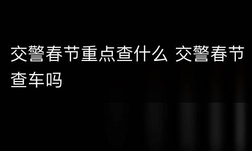 交警春节重点查什么 交警春节查车吗