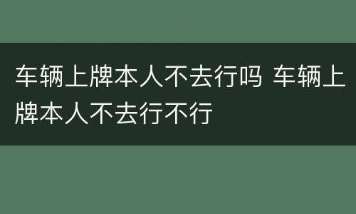 车辆上牌本人不去行吗 车辆上牌本人不去行不行