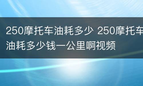 250摩托车油耗多少 250摩托车油耗多少钱一公里啊视频