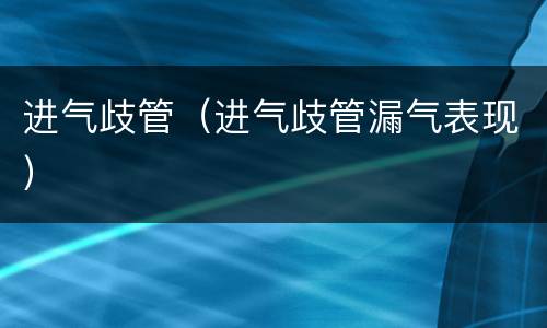 进气歧管（进气歧管漏气表现）