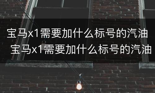 宝马x1需要加什么标号的汽油 宝马x1需要加什么标号的汽油滤芯