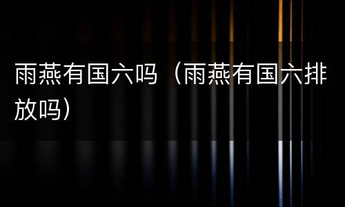 雨燕有国六吗（雨燕有国六排放吗）