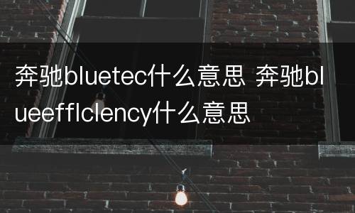 奔驰bluetec什么意思 奔驰blueefflclency什么意思