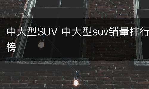 中大型SUV 中大型suv销量排行榜