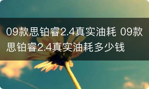 09款思铂睿2.4真实油耗 09款思铂睿2.4真实油耗多少钱