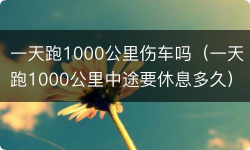 一天跑1000公里伤车吗（一天跑1000公里中途要休息多久）