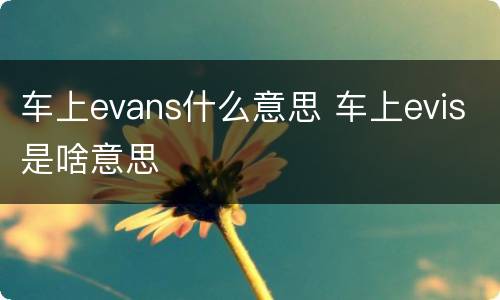 车上evans什么意思 车上evis是啥意思