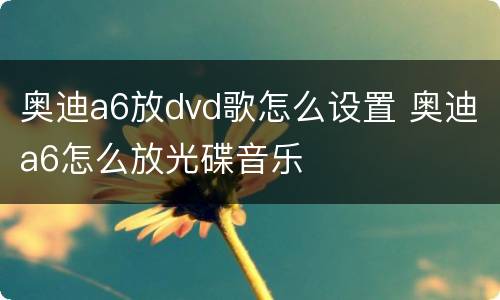 奥迪a6放dvd歌怎么设置 奥迪a6怎么放光碟音乐