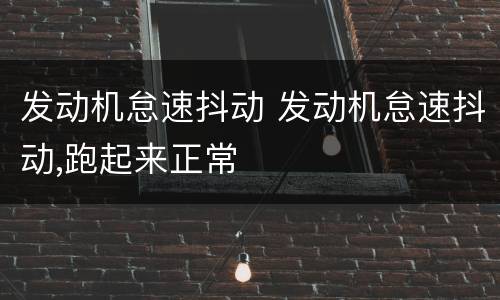 发动机怠速抖动 发动机怠速抖动,跑起来正常