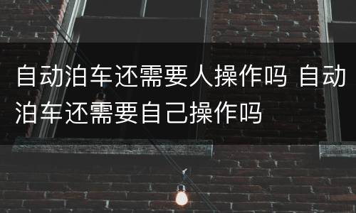 自动泊车还需要人操作吗 自动泊车还需要自己操作吗