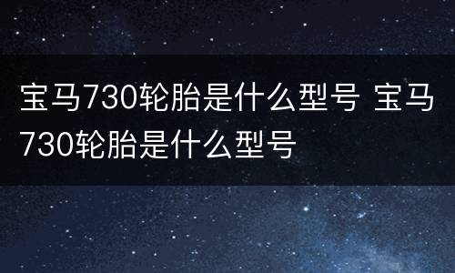 宝马730轮胎是什么型号 宝马730轮胎是什么型号