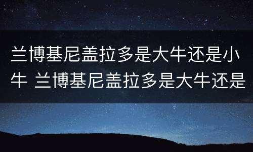 兰博基尼盖拉多是大牛还是小牛 兰博基尼盖拉多是大牛还是小牛