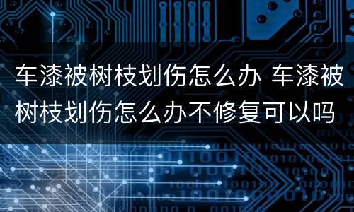 车漆被树枝划伤怎么办 车漆被树枝划伤怎么办不修复可以吗