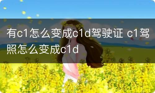 有c1怎么变成c1d驾驶证 c1驾照怎么变成c1d