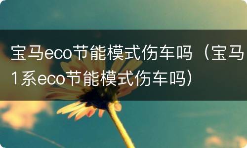 宝马eco节能模式伤车吗（宝马1系eco节能模式伤车吗）