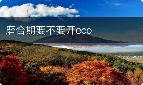 磨合期要不要开eco