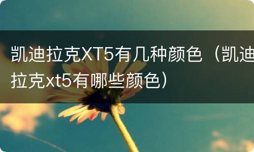 凯迪拉克XT5有几种颜色（凯迪拉克xt5有哪些颜色）